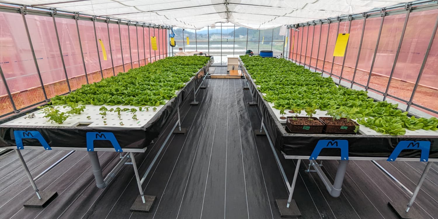 アクアポニックス